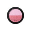 hình ảnh Phấn má hồng dual mate blusher
